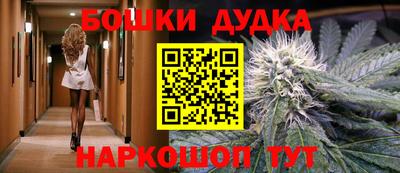 ECSTASY Новозыбков