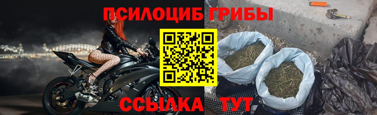Псилоцибиновые грибы GOLDEN TEACHER Родники