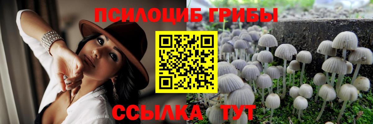 Галлюциногенные грибы ЛСД  Галлюциногенные грибы GOLDEN TEACHER  хочу   Родники  Вход с VPN 